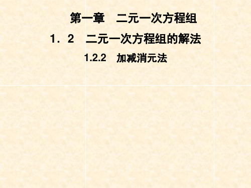 2019春湘教版数学七年级下册图片版习题课件：第1章-1.2-1.2.2加减消元法