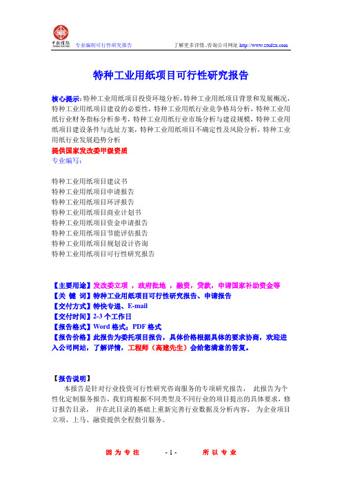 特种工业用纸项目可行性研究报告
