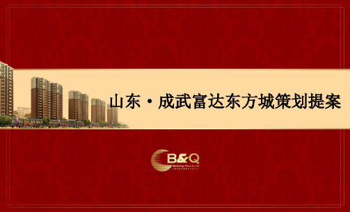 山东成武县报告市场部分