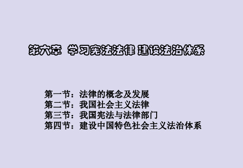 15版第六章 学习宪法法律 建设法治体系