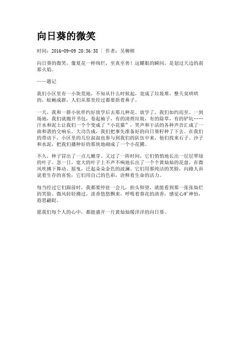 向日葵的微笑