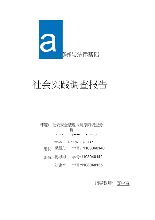 参考社会安全感现状与原因调查分析