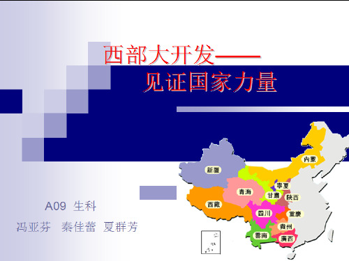 西部大开发新