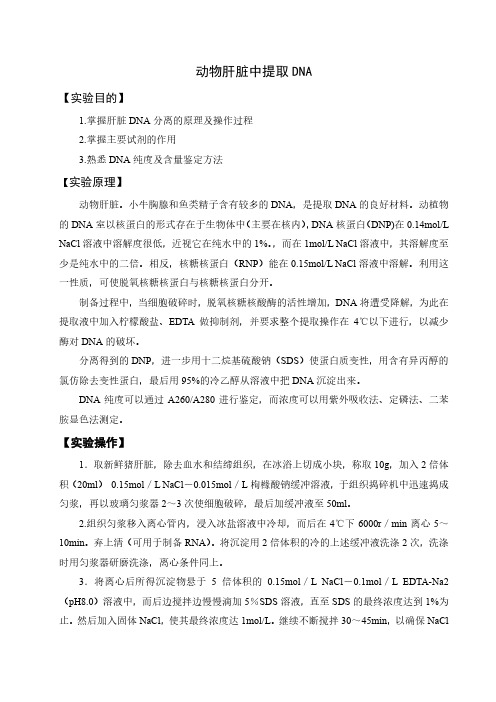 动物肝脏中提取DNA