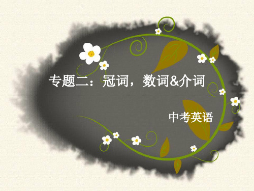 中考-冠词、数词、介词