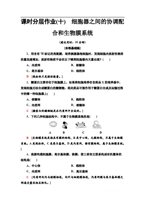 2019-2020同步新教材人教生物必修一新突破课时分层作业：10 细胞器之间的协调配合和生物膜系统 