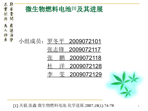 微生物燃料电池讲义