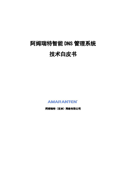 阿姆瑞特智能DNS技术白皮书