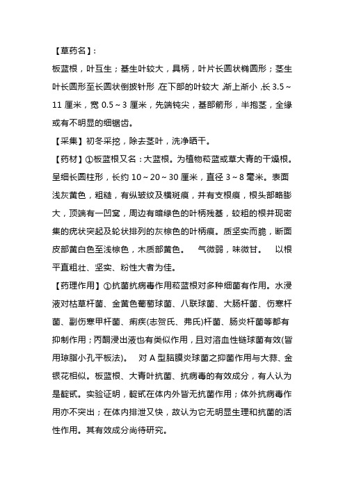 板蓝根