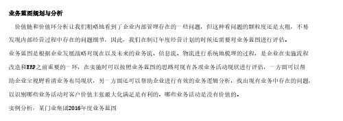 业务蓝图规划与分析