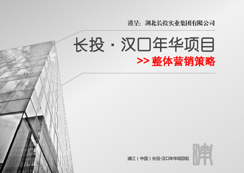 武汉长投汉口年华项目整体营销策