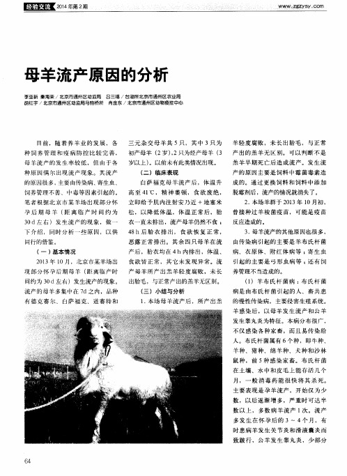 母羊流产原因的分析