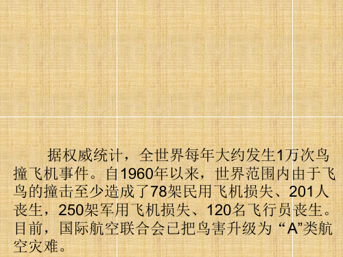 为什么飞鸟能撞坏飞机