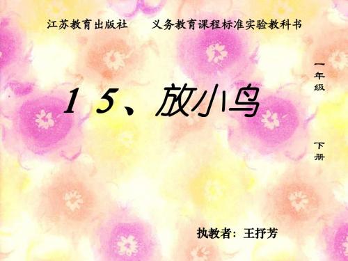 放小鸟