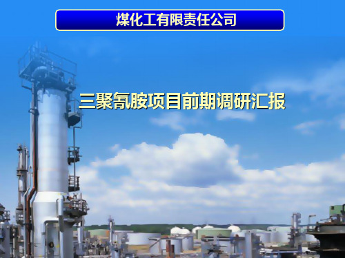三聚氰胺项目前期调研汇报
