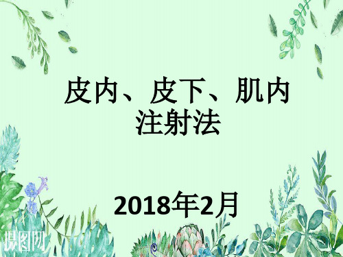 皮内、皮下、肌内注射法   2018年