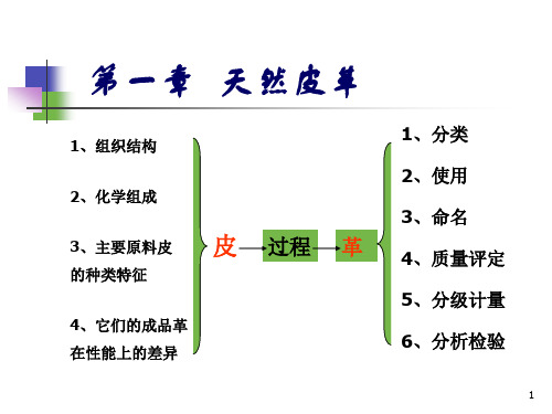 天然皮革材料的命名及分类
