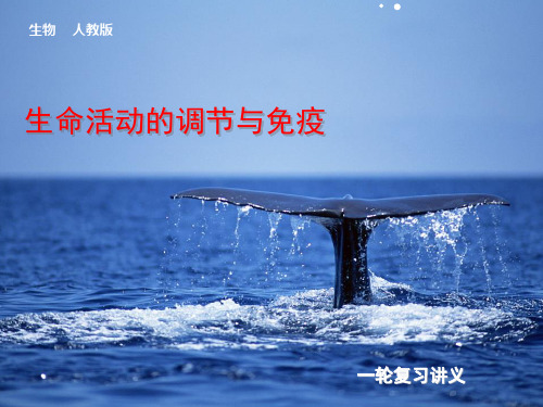 必修三 人体的内环境与稳态(2013-2014高三一轮复习)