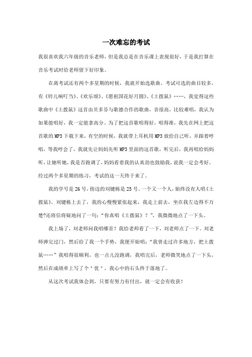 一次难忘的考试_初中初三作文500字