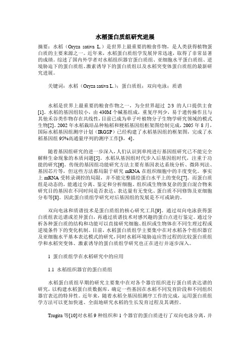水稻蛋白质组研究进展