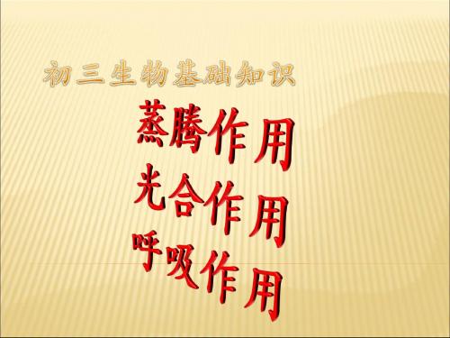 人教版中考专题复习：植物三大生理过程(共30张PPT)