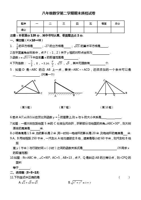 八年级数学第二学期期末质检试卷.doc