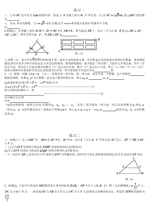 初三数学总复习-超难度题库训练(含标准答案)