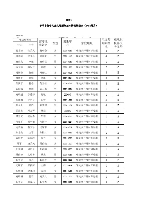 留守儿童父母婚姻基本情况表(修正版)