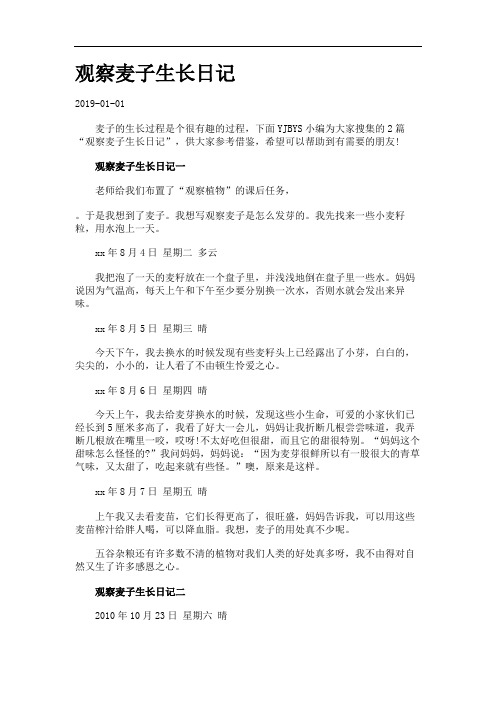 观察麦子生长日记.