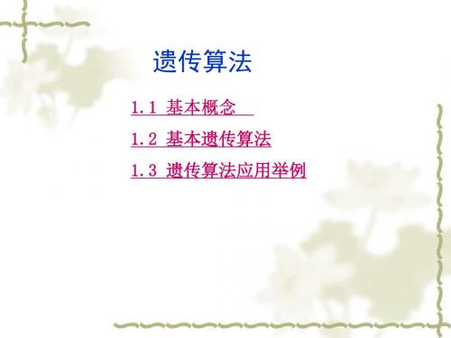遗传算法简述