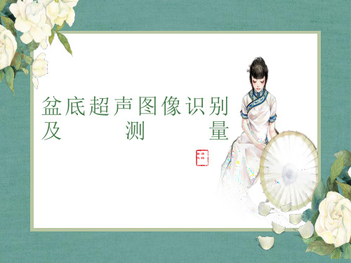 盆底超声图像识别与测量