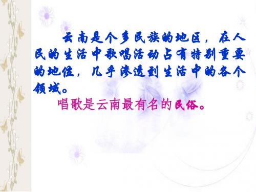 《云南的歌会》ppt
