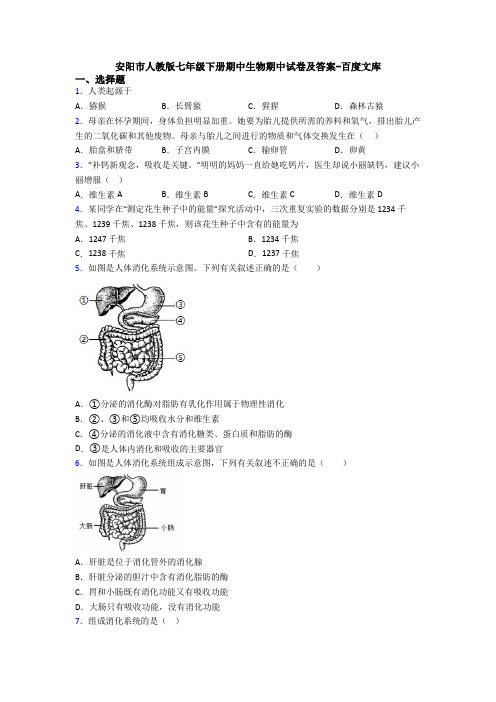 安阳市人教版七年级下册期中生物期中试卷及答案-百度文库