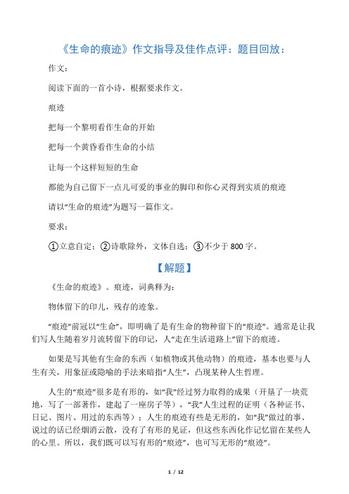 《生命的痕迹》作文指导及佳作点评
