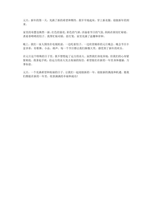 关于元旦的小练笔300字