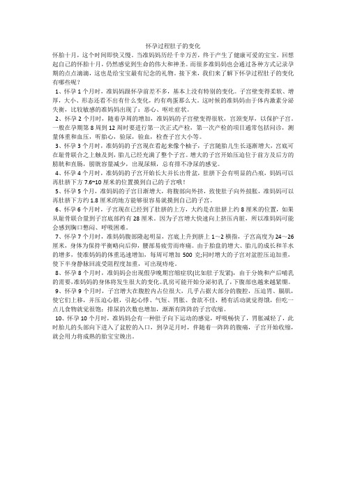 怀孕过程肚子的变化