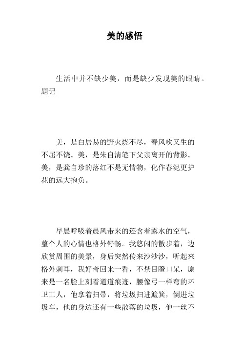 美的感悟