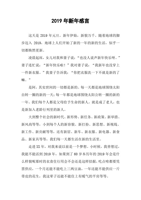 2019年新年感言