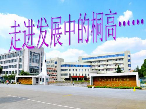 桐乡市高级中学简介