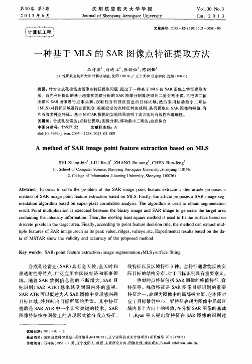 一种基于MLS的SAR图像点特征提取方法
