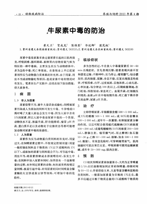 牛尿素中毒的防治