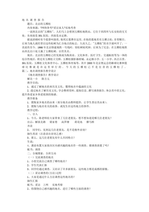 地名的调查报告