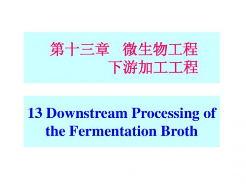 微生物工程下游加工工程
