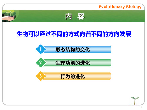 生物表型进化