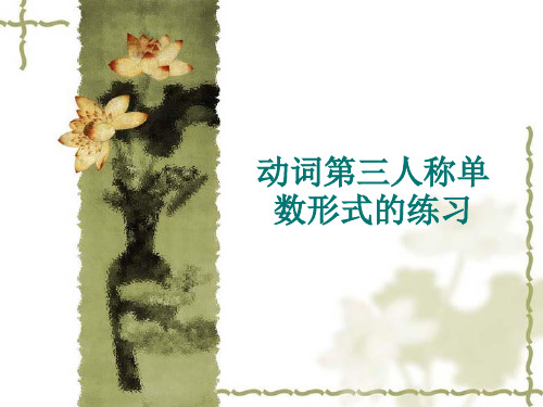 动词三单形式练习题