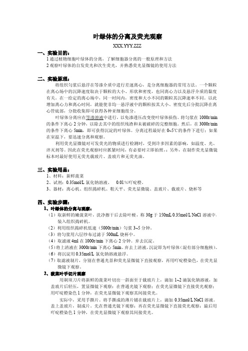 叶绿体分离和荧光观察