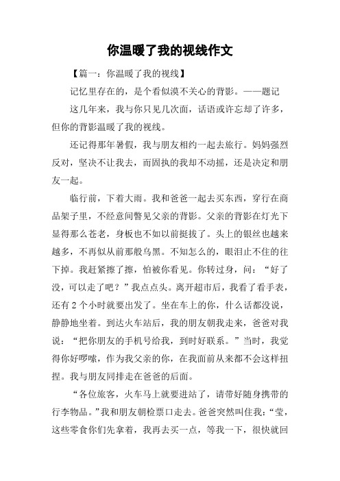 你温暖了我的视线作文