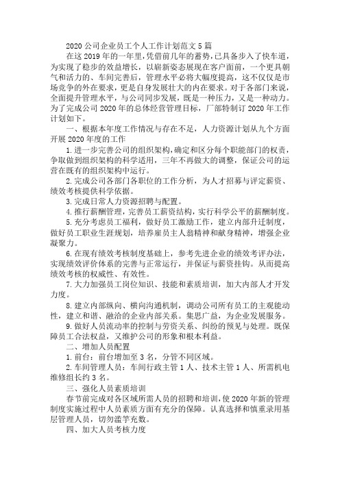 2020公司企业员工个人工作计划范文5篇