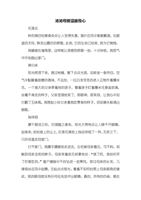 初三作文：浓浓母爱温暖我心作文800字