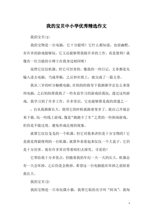 我的宝贝中小学优秀精选作文